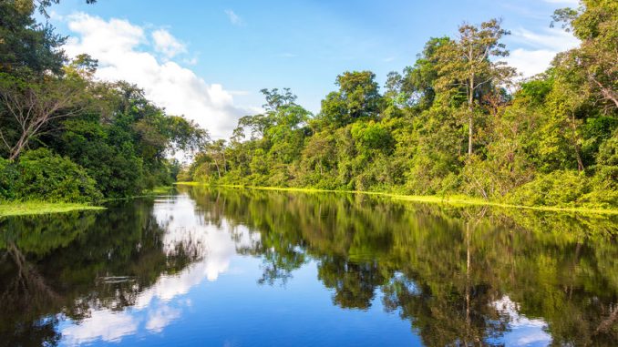 Amazonian Reflection