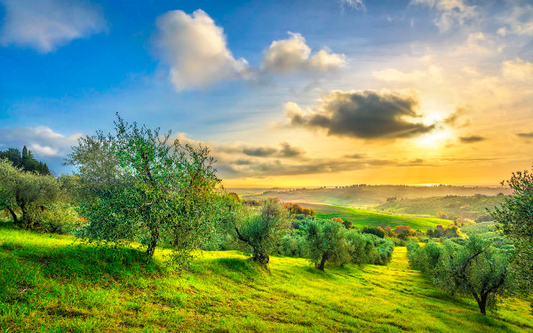 Nietsdoen in Assisi