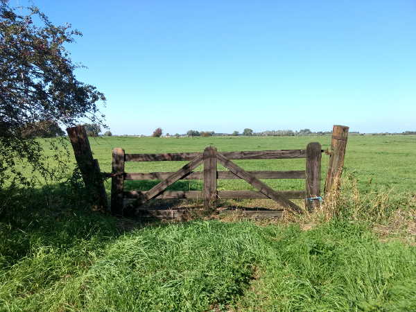 De kolder regeert  in de polder